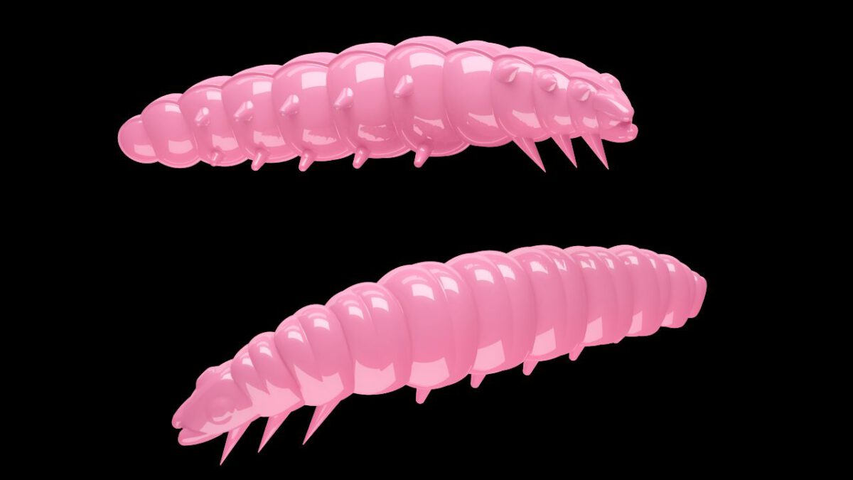 Larva 017 BUBBLEGUM-jpg Larva 017 BUBBLEGUM.jpg
